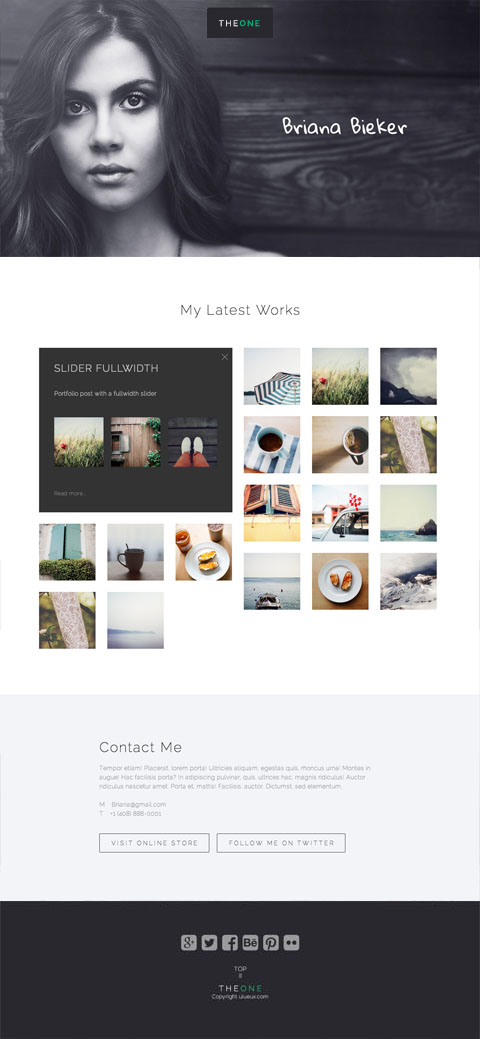 Brick Portfolio List